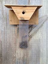 Best Carpenter Bee Trap Design Images