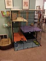 Images of Cheap Cat Playpen