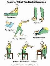 Pictures of Tibialis Posterior Muscle Strengthening Exercises