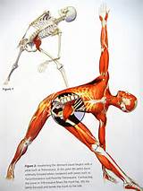 Images of Strengthening Your Psoas Muscle