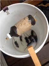 Water Bucket Mouse Trap Images