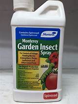 Images of Insect Spray Company
