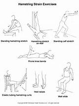 Hamstring Muscle Strengthening Exercises