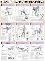 Pictures of Exercises Glutes