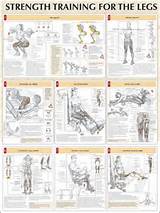 Muscle Strengthening Exercises For Legs