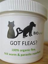 Best Flea And Tick Treatment For Dogs With Seizures
