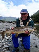Trout Fishing In New Zealand
