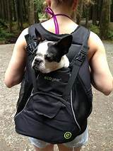 Hiking Dog Backpack Carrier Images