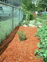 Landscape Mulch Images