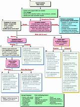 Images of Pals Medication Cheat Sheet