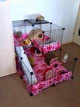 Pictures of Cheap Guinea Pig Cages