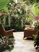 Images of Tropical Decorating Accessories