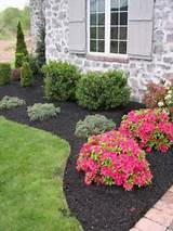 Landscape Plants For East Side Of House Pictures