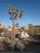 Joshua Tree National Park Camping Reservations Pictures