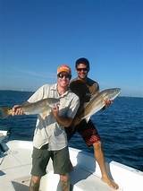 Pictures of St Petersburg Fishing Charters