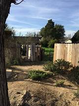 Pictures of Emergency Tree Service Sacramento