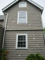 Wood Siding Cost Pictures