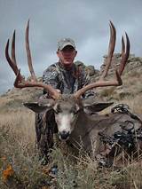 Wyoming Mule Deer Hunting Outfitters Images