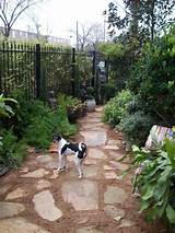 Photos of Dog Friendly Backyard Landscaping Ideas