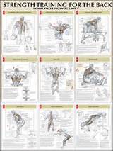 Images of Core Muscle Exercises Nhs