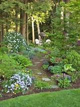 Wooded Yard Landscaping Images