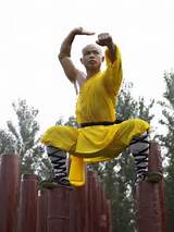 Kung Fu Workout Pictures