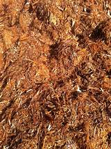 Images of Cedar Chips For Rabbits