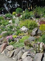 Images of Rock Landscaping On A Hill