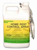 In Home Pest Control Images
