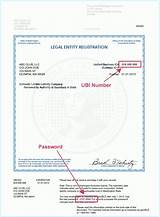 Photos of Washington Master Business License