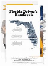 How Can I Get My Cdl License In Florida