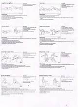 Images of Exercise Program Sciatica