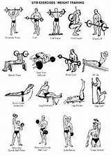 Photos of Free Weight Exercise Routines