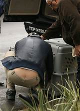 Pictures of Plumber Ass