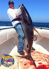 Tuna Com Fishing Charters Images