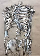 How To Draw A Human Skeleton For A Class Project Photos