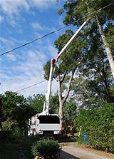 Photos of Tree Service Liability Insurance