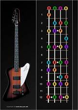 Images of How To Learn The Notes On A Bass Guitar