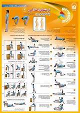 Exercise Program Kyphosis Images