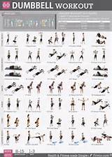 List Of Resistance Training Exercises Photos