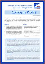 Pictures of Company Profile Format For It Company