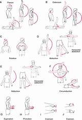 Muscle Setting Exercises Images