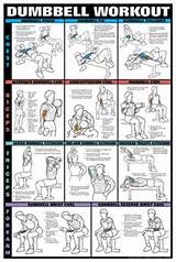 Home Workouts For Biceps Images