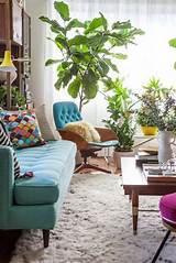 How To Decorate A Living Room With Plants Images