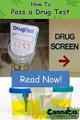 How To Pass A Mouth Swab Drug Test For Marijuana Pictures