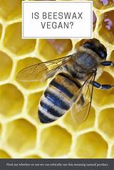 Can Beeswa  Be Organic Images