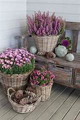 Images of Flower Pots Unique