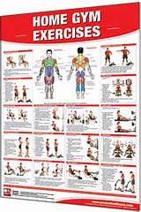 Images of Gym Exercises