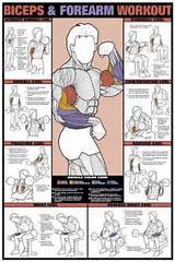 Pictures of Muscle Workout Chart
