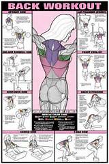 Exercise Routines Using Weights Pictures